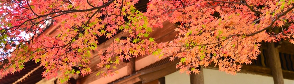 旅好き！　写真好き！  ～撮りある記～